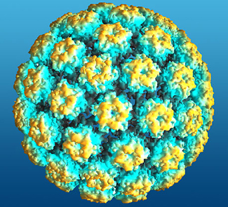 Lidský papilomavirus HPV: nakazit se není těžké