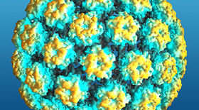 Lidský papilomavirus HPV: nakazit se není těžké